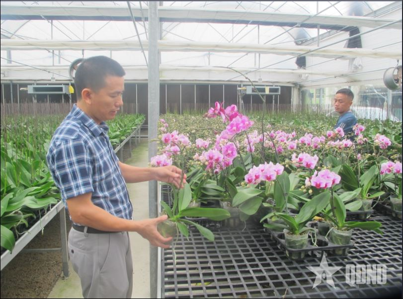 Hà Tĩnh giữ nhịp xây dựng nông thôn mới